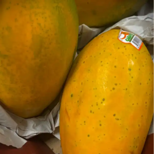 papaya
