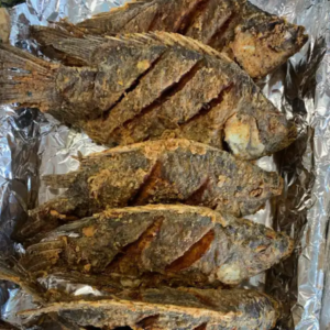 tilapia